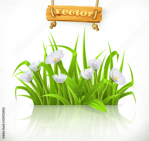 Spring grass, 3d vector icon