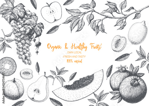 Fruits top view frame. Farmers market menu design. Healthy food poster. Vintage hand drawn sketch, vector illustration. Linear graphic.