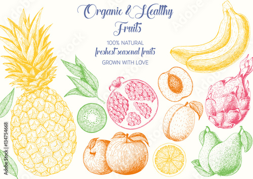 Fruits top view frame. Farmers market menu design. Healthy food poster. Vintage hand drawn sketch, vector illustration. Linear graphic.
