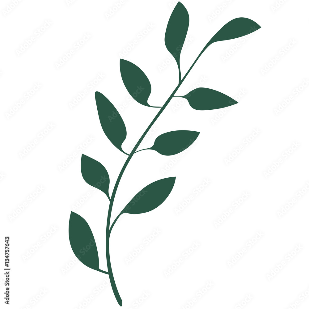 Leafy Green Foliage - Abstract Icon Isolated on White Background