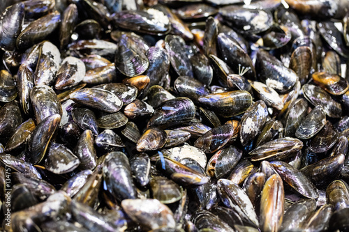 display of fresh mussels for shellfish or seafood lovers