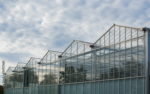 The greenhouse on the background of sky. Vegetable greenhouse on the background of sky. © pazyuk