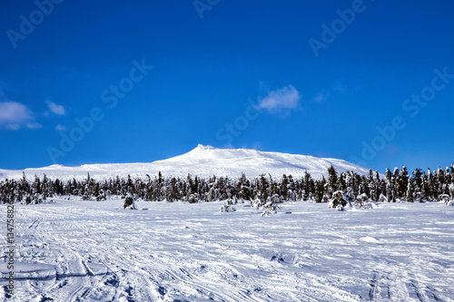 Beautiful winter wonderland during the sunny day. © ArtEvent ET