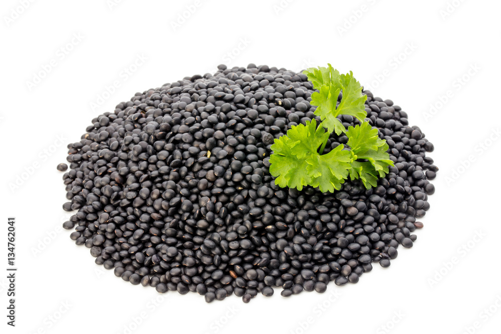 Lentin beluga. Black Lentins.Isolated on the white background. Lentin beluga. Black Lentins.Isolated on the white background.