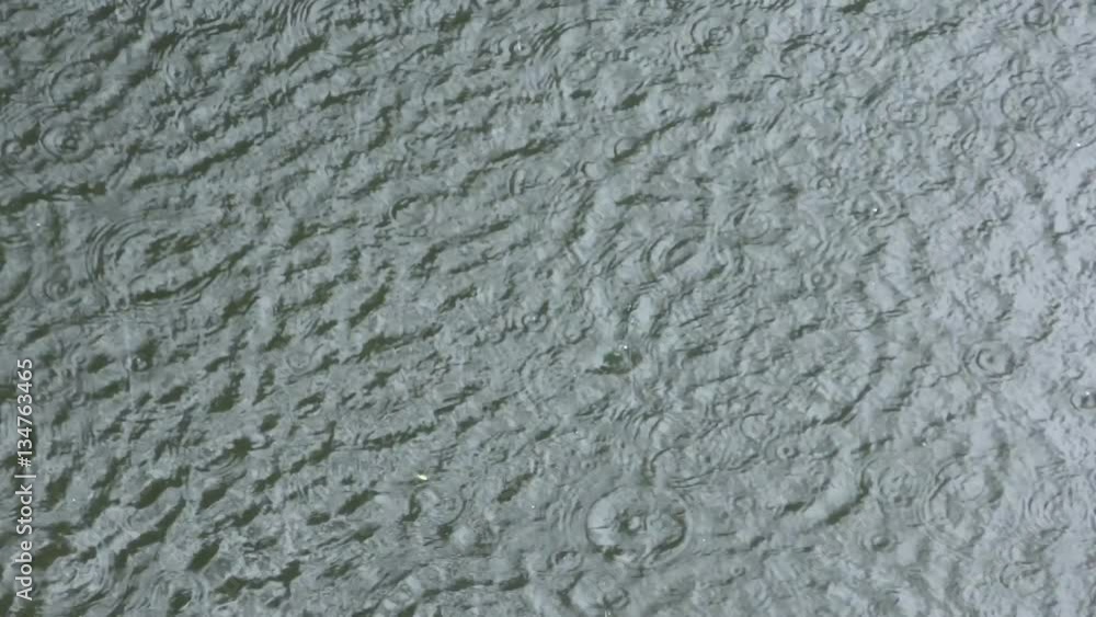 Water surface with circles of raindrops Water surface with circles of raindrops