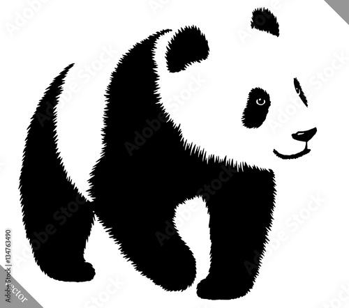 black and white linear paint draw panda vector illustration photo