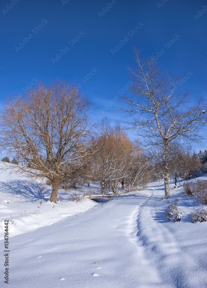 Snow covered park and blue sky in Moscow, Idaho. Snow covered park and blue sky in Moscow, Idaho.
