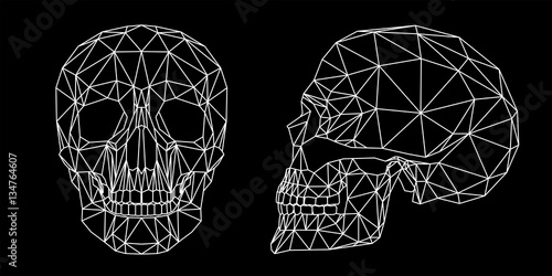 Teschio umano vista frontale e laterale, illustrazione geometrica di linee bianche sullo sfondo nero photo