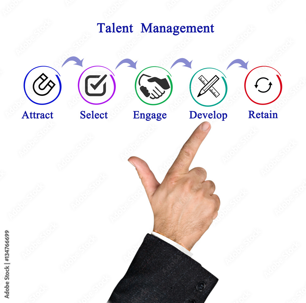 Fototapeta premium Talent Management