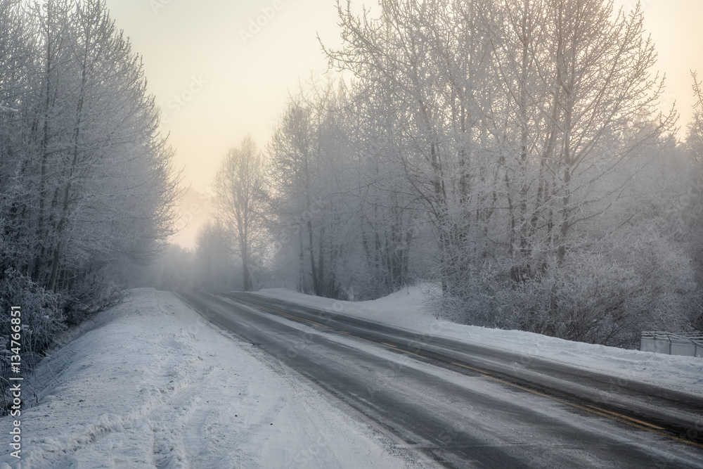 Obraz premium Winter Road