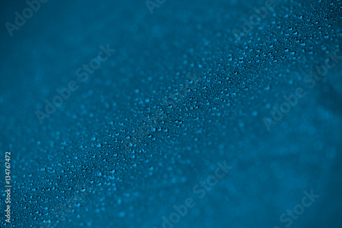 macro drops on tent
