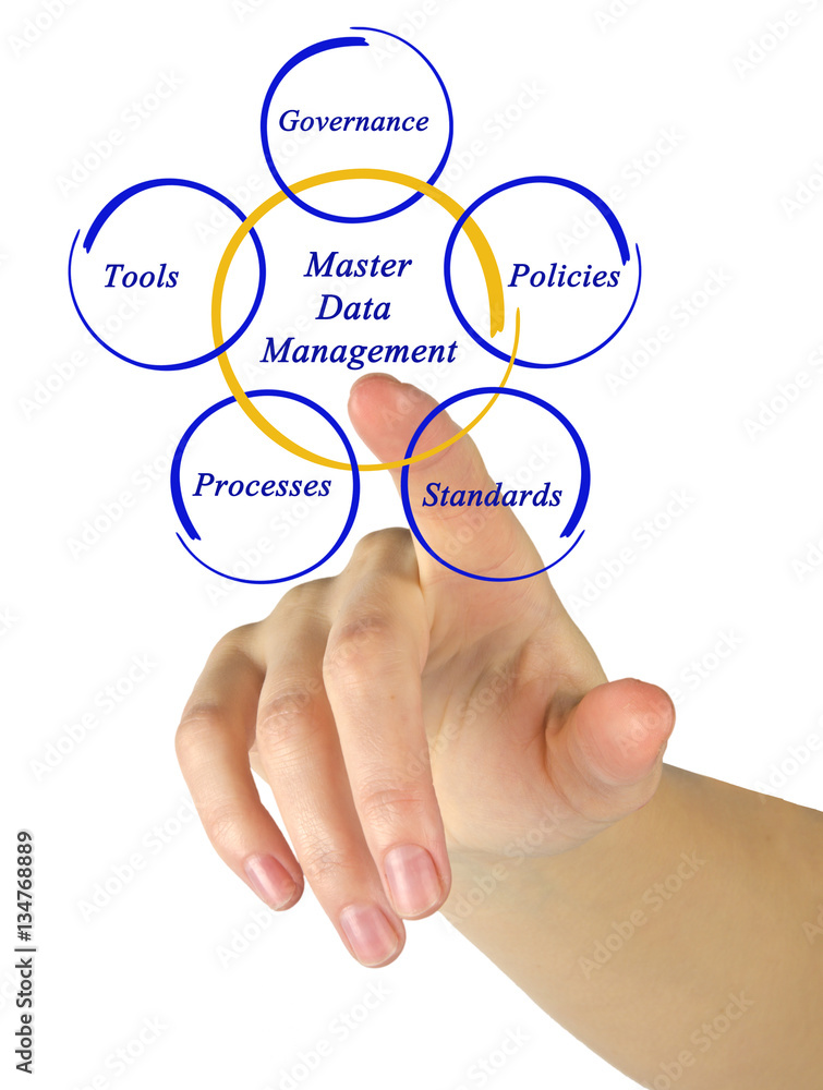 Fototapeta premium Master Data Management