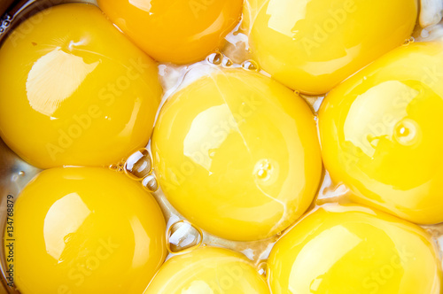 Many egg yolks close-up. Intense and bright yellow color. The main ingredient for the preparation of fried eggs, omelette, poached eggs. Fresh eco-friendly farm products.