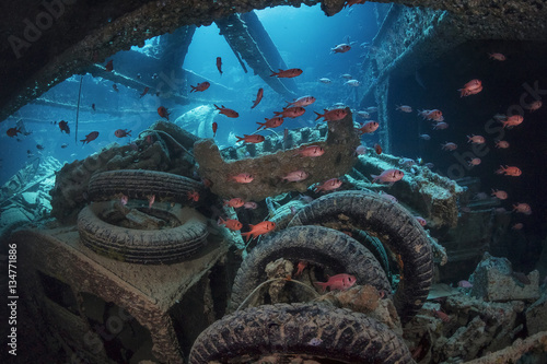 Thistlegorm 7 photo