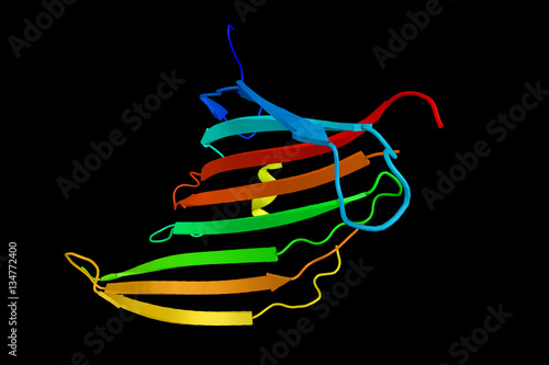Fotografia Fibroin, an insoluble protein present in silk created by spiders