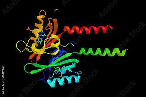 Typical core-domain of a FMN-binding fluorescent protein, a clas photo