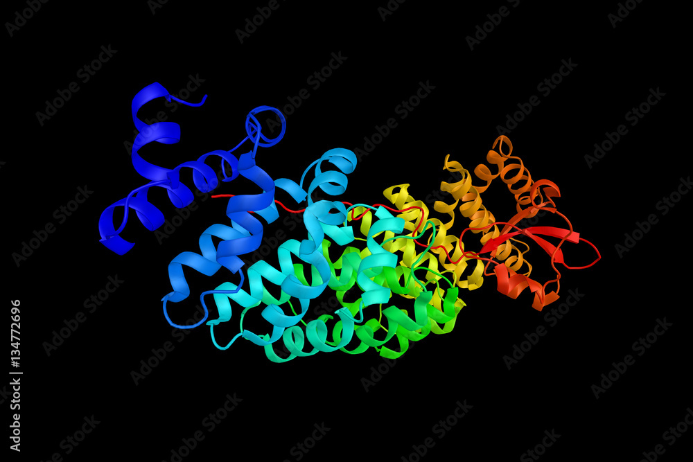 Importin subunit alpha-7, a protein which binds the NLS-containi