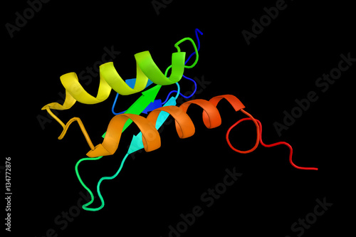 Phospholipase A-2-activating protei photo
