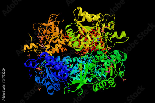 Sirtuin-6 (SIRT6), a stress responsive protein linked to longevi photo