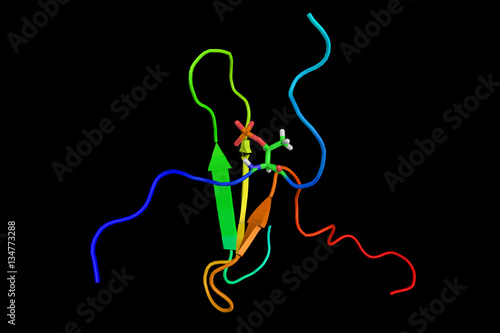 Tau proteins (3d structure shown) stabilize microtubules. Abunda photo