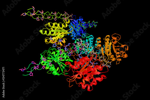 Photography Von Willebrand factor, a blood glycoprotein involved in hemostas