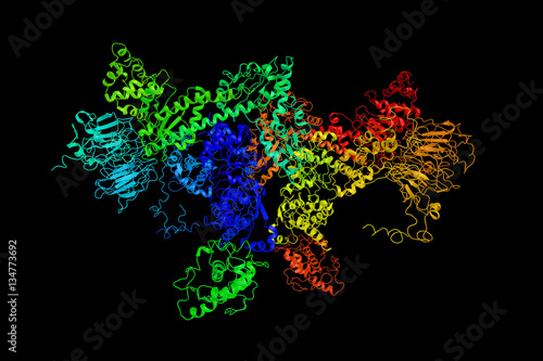 Tetragonal structure of Arp2/3 complex, a seven-subunit protein photo