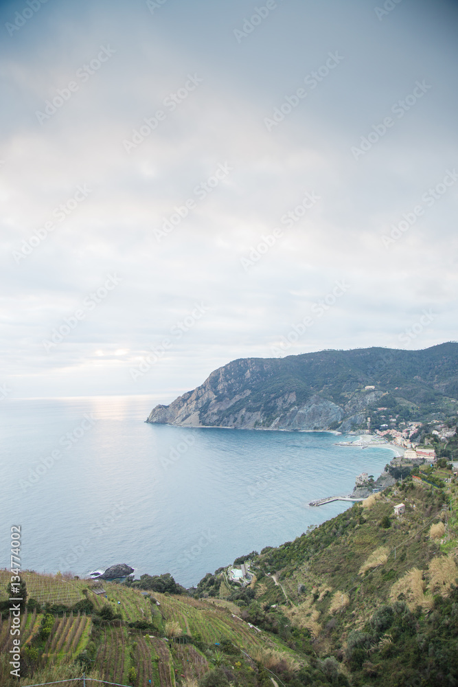 The Ligurian Sea Cliff