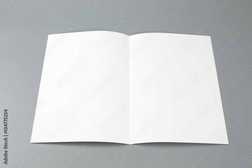 Blank portrait A4. brochure magazine isolated on gray, changeable background / white paper isolated on gray Blank portrait A4. brochure magazine isolated on gray, changeable background / white paper isolated on gray