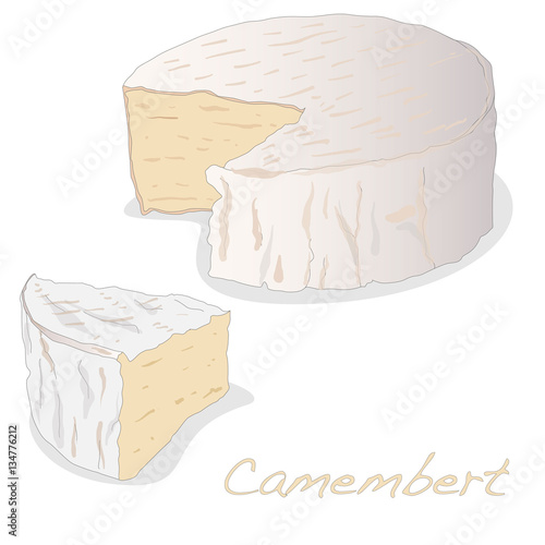 camembert cheese isolated illustration set