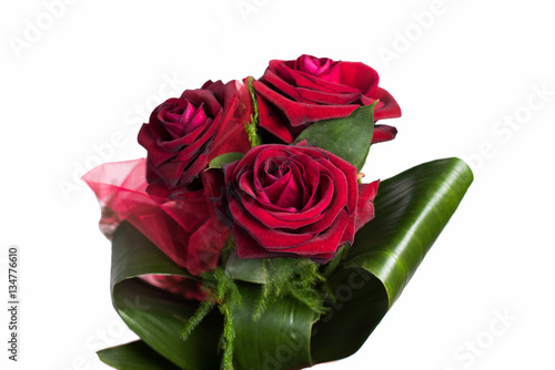 Many red roses on white background.
