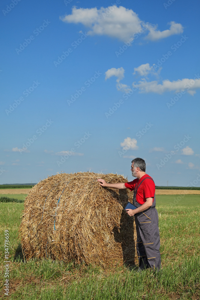 Farmer examine bale of hay in field Farmer examine bale of hay in field