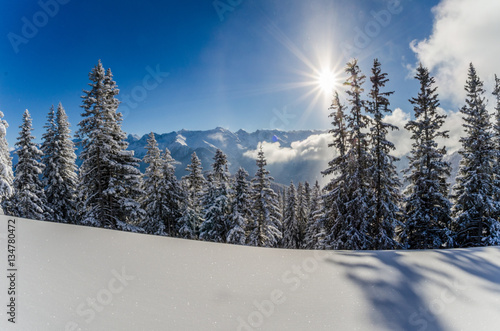 Wallpaper Mural Wenig Schnee
Kunstschnee Torontodigital.ca