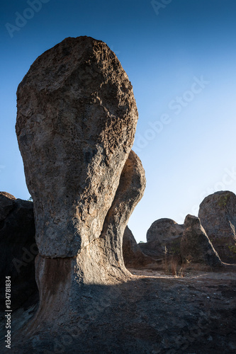 City of Rocks State Park, NM, USA © Laurens