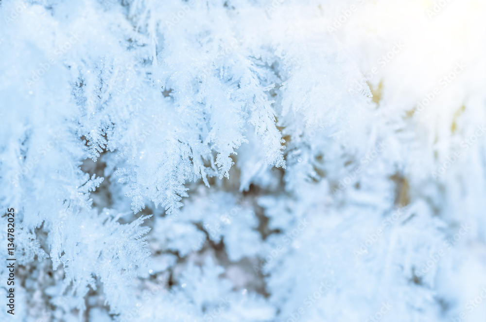beautiful hoarfrost, winter christmas background beautiful hoarfrost, winter christmas background