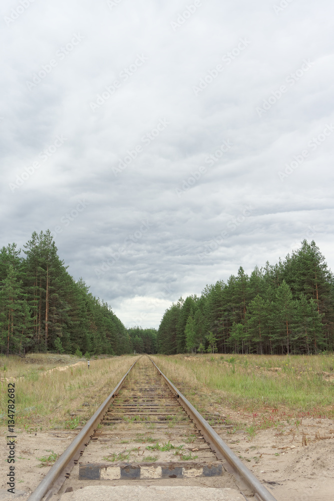 The old railway line in the forest. Russia