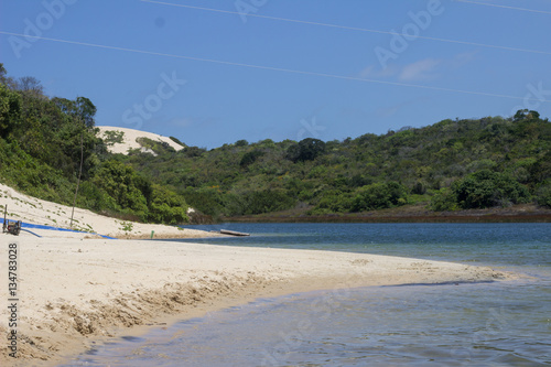 Brazil's Beach