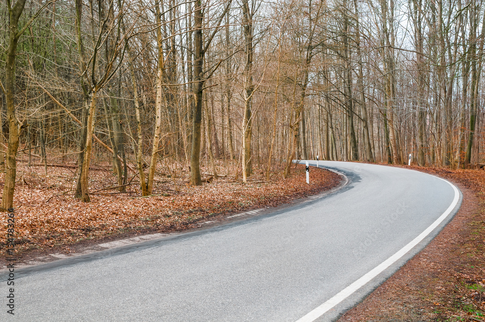 Fototapeta premium Straße im Wald, Frühlingssonne, Regionalverkehr, Wildwechselgefahr, Waldgebiete, ländlich