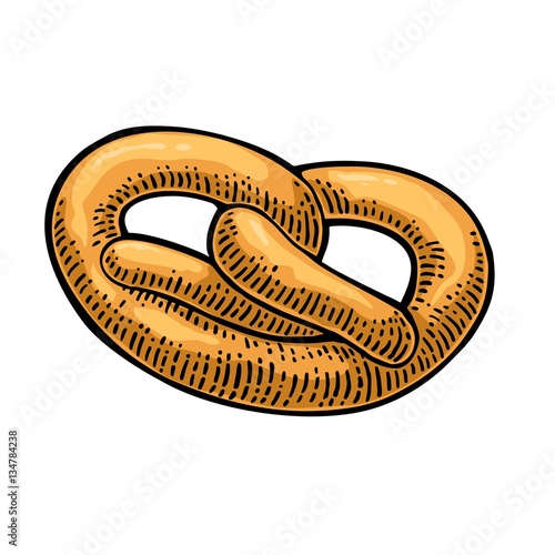 Pretzel. Vector color hand drawn vintage engraving