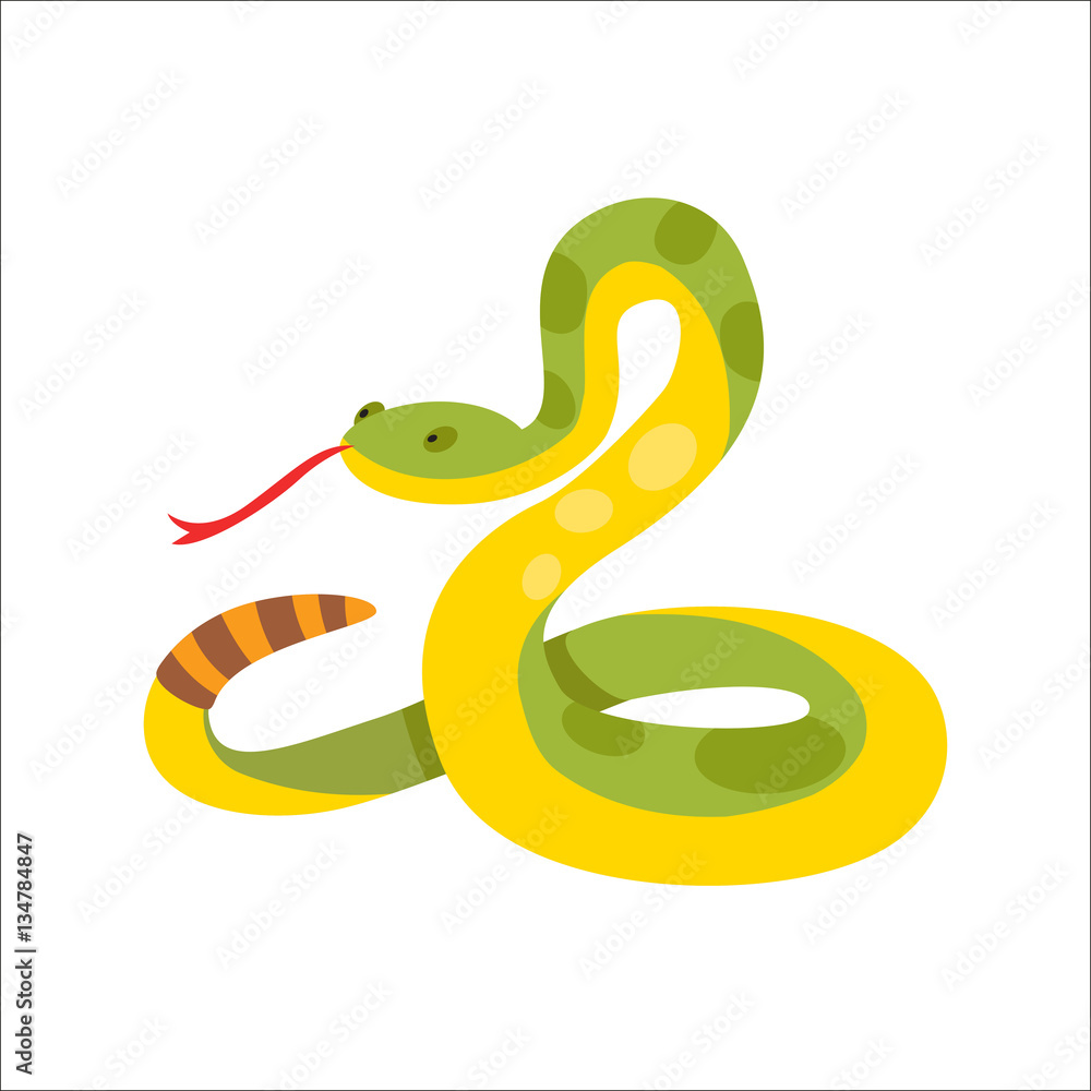 Fototapeta premium Snake reptile cartoon vector