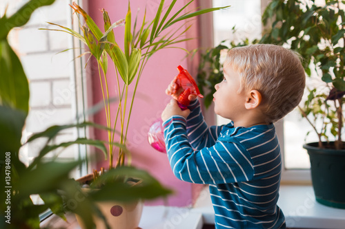 Child watering flowers with red watering can in the room
