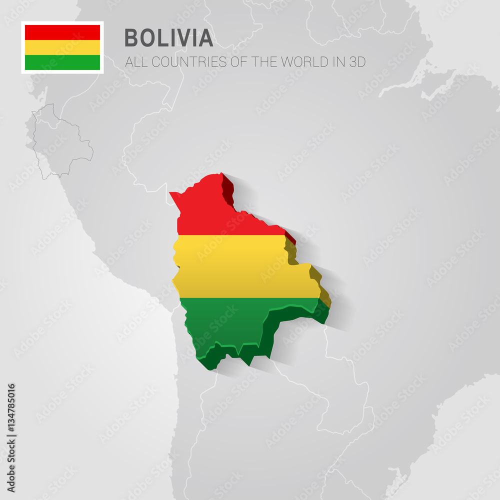 Obraz premium Bolivia painted with flag drawn on a gray map.