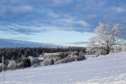 Vogelsberg im Winter 