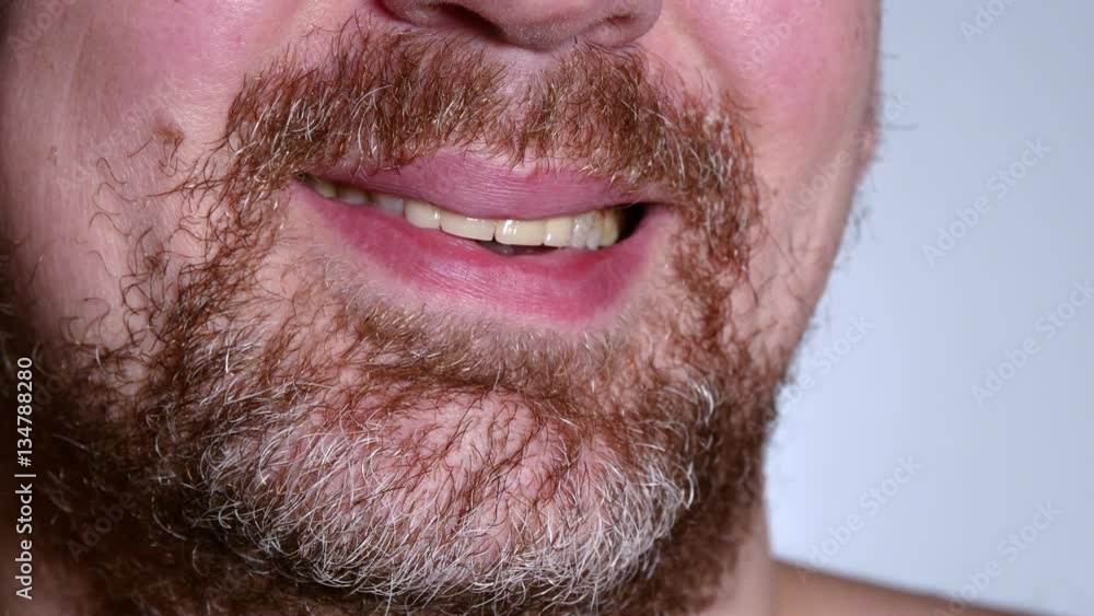 Closeup Of A Bearded Man Mouth Smile On White Background Closeup Of A Bearded Man Mouth Smile On White Background