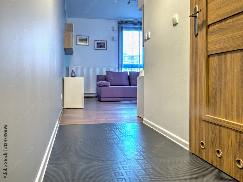 hall with viev for living room hall with viev for living room