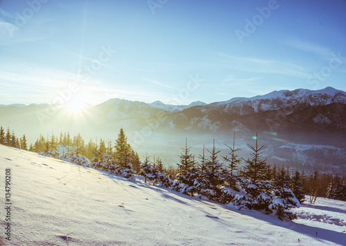 sunrise in winter wonderland © malikmaciej