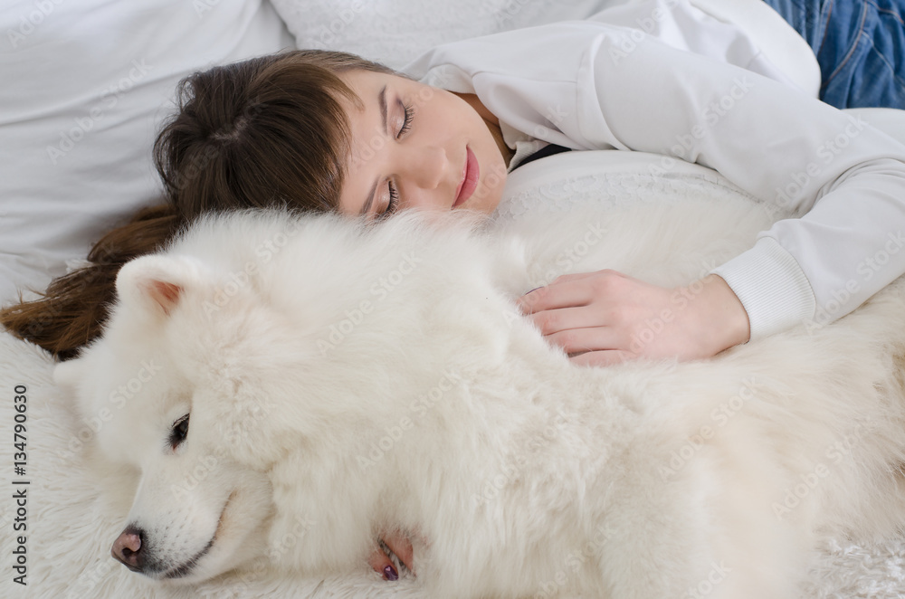 beautiful girl sleeping on a fur rug with snow white Samoyed beautiful girl sleeping on a fur rug with snow white Samoyed