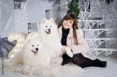 Fototapeta Naklejka Na Ścianę i Meble -  Young beautiful attractive woman in a white fur coat, sitting on a wooden floor with two white samoyeds