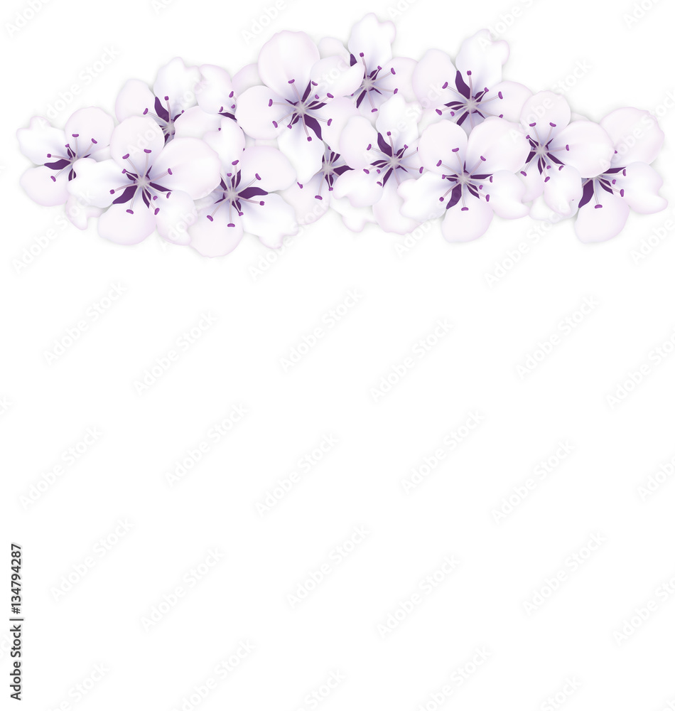 Top frame bouquet sakura blue flowers