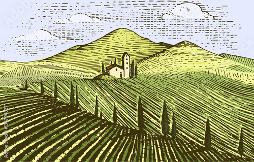 Vintage engraved, hand drawn vineyards landscape, tuskany fields, old looking scratchboard or tatooo style