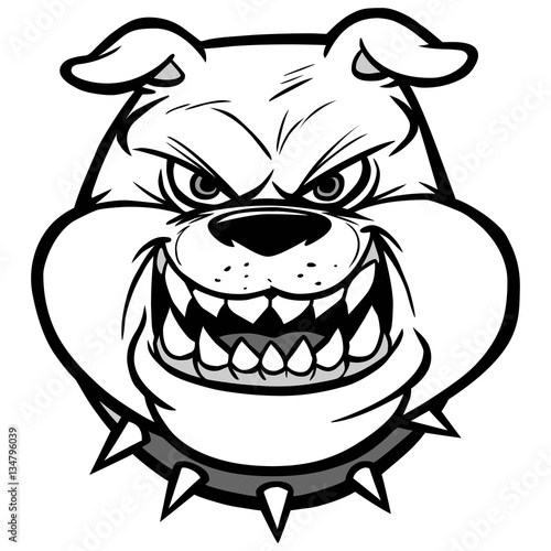 Bulldog head on View Illustration